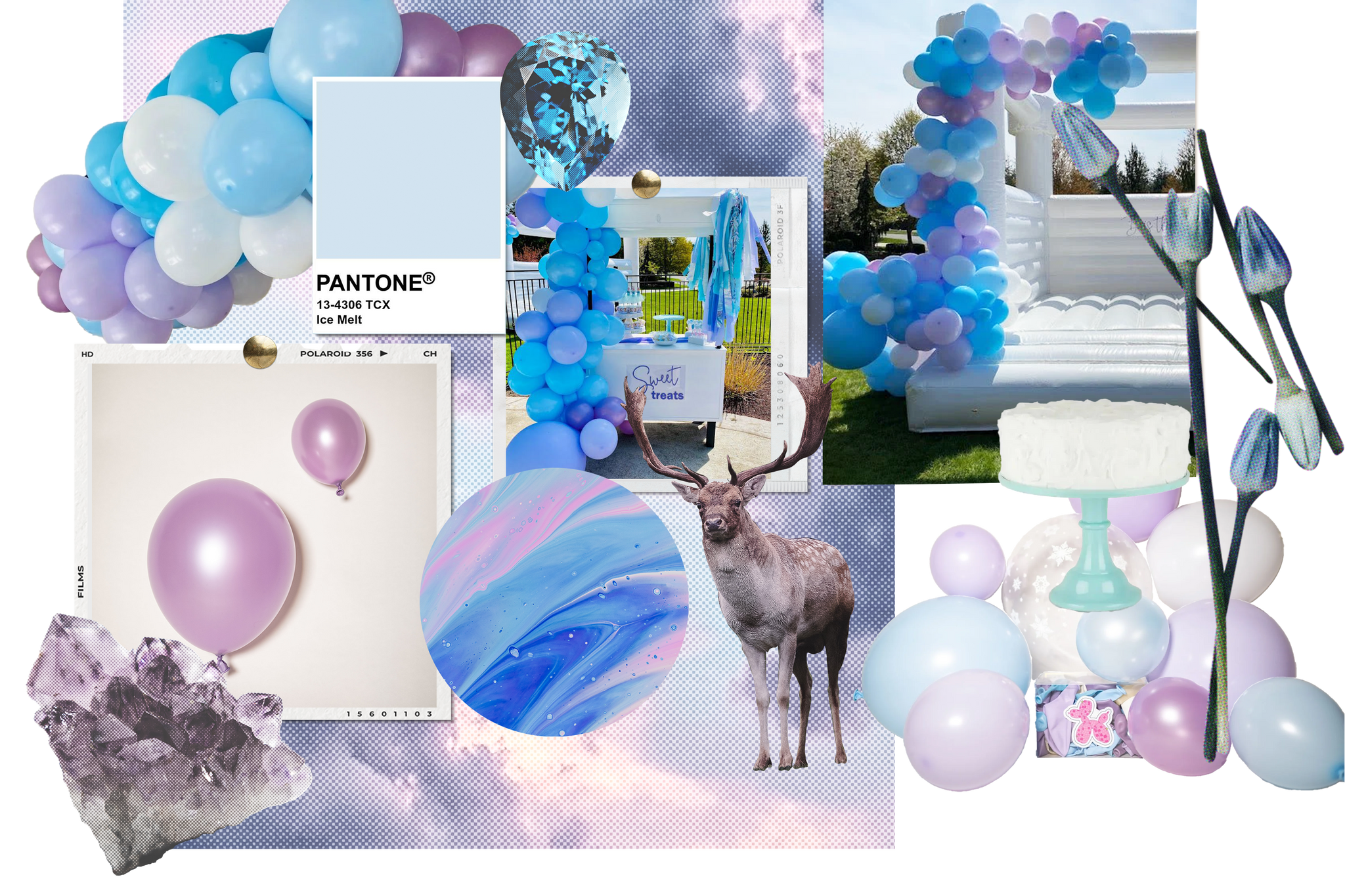 frozen elsa anna birthday party for girls