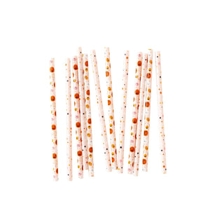 Pink/Orange Pumpkins Reusable Straws for birthday parties for tweens, kids, or teens, or for halloween parties or fall parties.  