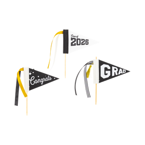 My Mind’s Eye - PLHB498 - Black Graduation Felt Pennant Banner Set