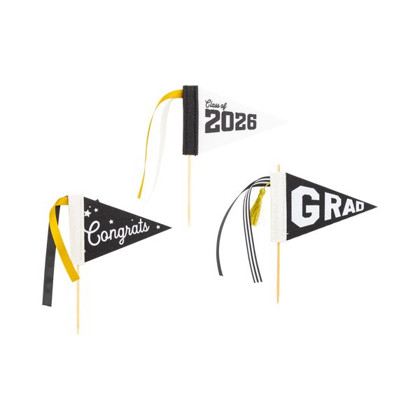 My Mind’s Eye - PLHB498 - Black Graduation Felt Pennant Banner Set