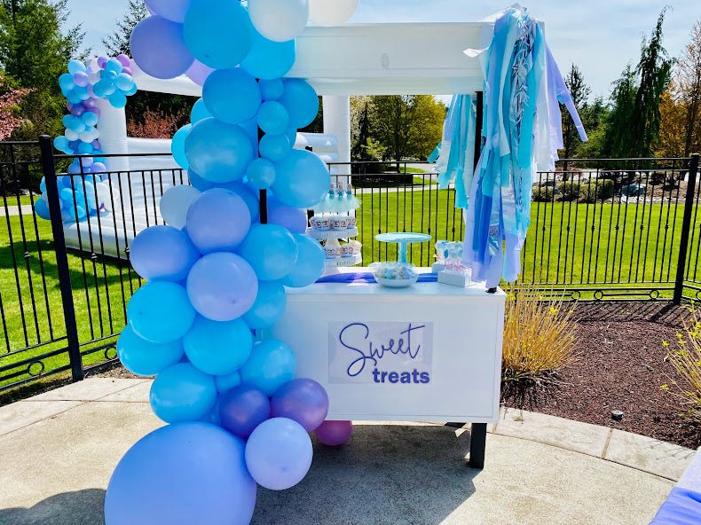 sweet treats refreshments stand for Elsa Anna frozen birthday party