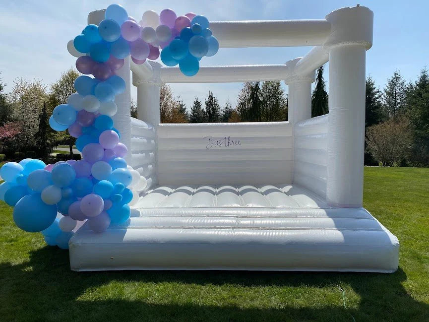 Frozen Elsa Anna bounce house balloon garland decor for birthday party