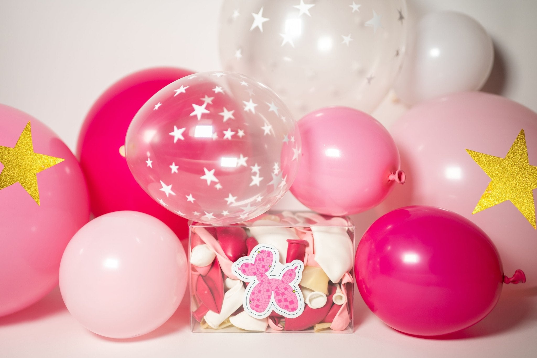 Preppy in Pink Balloon Garland - The Disco Edit