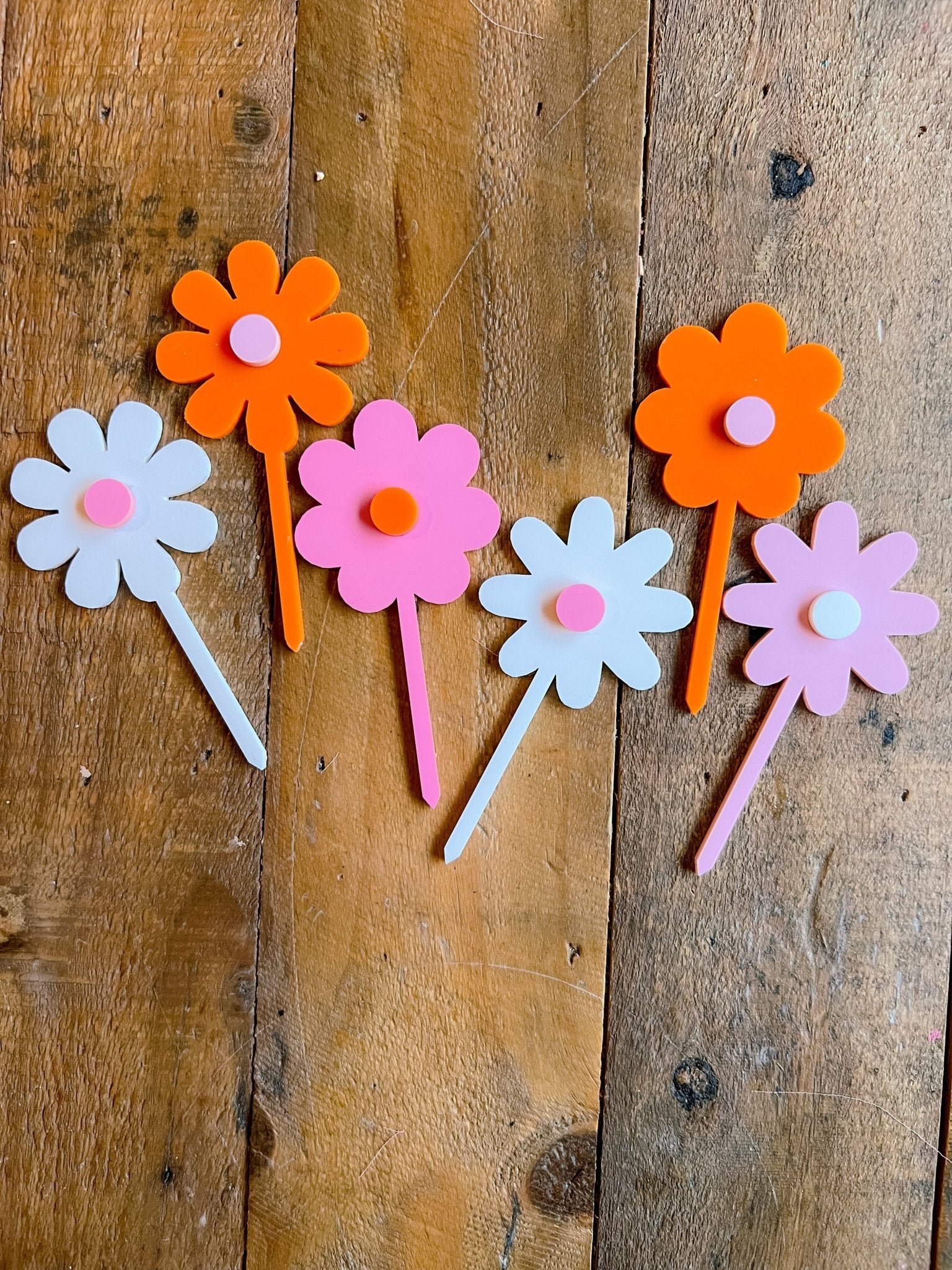Wild One Daisy Cupcake Toppers - The Disco Edit